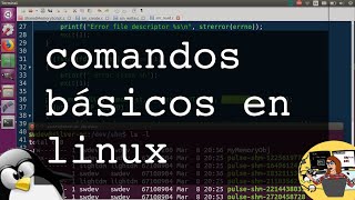 Comandos básicos en linux el terminal y el command prompt [upl. by Kuhlman]