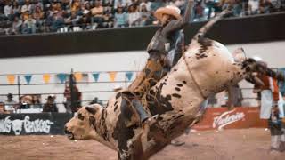 Cuernos Chuecos Torreón 2017 [upl. by Adelaida]