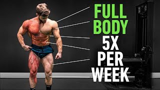 Full Body 5x Per Week Why High Frequency Training Is So Effective [upl. by Vocaay]