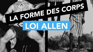 Loi Allen  La forme des corps [upl. by Yolane89]