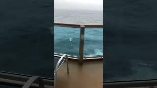 Majestic Princess Obstructed balcony E429 [upl. by Mw]