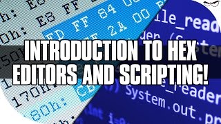 Introduction to Hex Editors and Scripting [upl. by Placido]