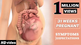 31 Weeks Pregnant Baby Position  Health Care Tips For Pregnant Women [upl. by Lengel]