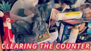 LETS CLEAR THE COUNTER  Tackling Smaller Projects in the Kitchen  My Decluttering Journey [upl. by Calen]