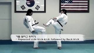 Repeated Side Kick followed by Back Kick  Taekwondo Combo Kicks [upl. by Nadeen579]