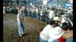 Jaripeo Xalacapan Zacapoaxtla Puebla Migue [upl. by Blondy]