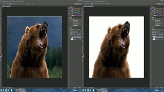 TUTO Comment détourer une image sur Photoshop [upl. by Campney]