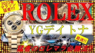 【金無垢デイトナ】会話のコツは時計以外に勝機ありYGの輝きと豪華さに感動正規店ロレックスマラソン歴戦の猛者に徹底インタビュー [upl. by Winni]