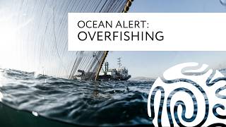 Ocean Alert Overfishing [upl. by Aifas]