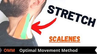 Neck Stretches  Scalene Stretch [upl. by Llerrah]