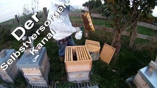 Bienen Notbehandlung mit Milchsäure [upl. by Jess]