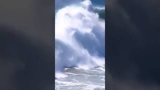 🇵🇹 Canhão de Nazaré  Surf [upl. by Airom]