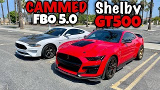 FBO CAMMED 10 Speed Mustang GT vs SHELBY GT500 [upl. by Aihsenod]