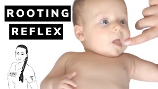 Rooting reflex in babies [upl. by Ecnarolf]