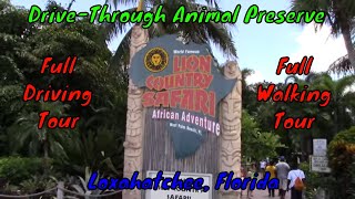 Lion Country Safari Full Tour  Loxahatchee Florida [upl. by Rolanda726]