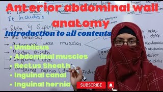 Anterior abdominal wall anatomy  introduction of all contents of anterior abdominal wall  bdc [upl. by Alston]