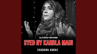 Syed Ny Karbla Main LofiMix [upl. by Drawe]