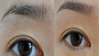 How I Groom amp Shape My Eyebrows ♥ [upl. by Bevers]