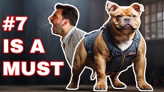 American Bully  20 MustKnow Tips [upl. by Annairam718]