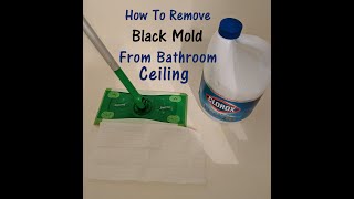 How To Clean Mold From Bathroom Ceiling With CLOROX [upl. by Nuavahs]