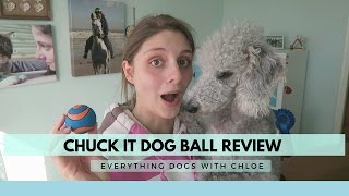 CHUCK IT BALL REVIEW  DOG BALL [upl. by Giffy]