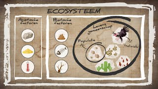 WAT IS EEN ECOSYSTEEM  Ordening Basisstof Biologie Havo  Vwo [upl. by Davidde175]