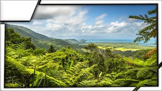 Daintree Rainforest Australia  The Oldest Forest In The World [upl. by Harat]