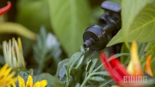 How To install A Drip Irrigation System [upl. by Erina]