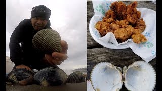 Oregon clamming  how to catch and cook clams [upl. by Nnaeoj]