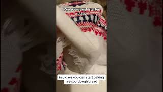 Rye sourdough starter recipe [upl. by Dacey]