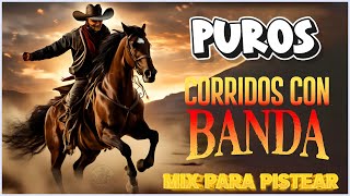 ✅Puros Corridos VIEJITOS Con Banda 🎉35Grandes Éxitos 2024💕Para Pistear 🎉23181124🎉🎉🎉 [upl. by Assilram]