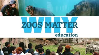 WHY ZOOS MATTER  Part 3 Education [upl. by Preciosa]