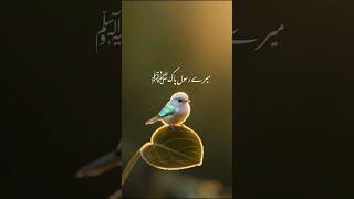 stories of the prophet muhammad  peer ajmal raza qadri bayan shorts [upl. by Abie836]