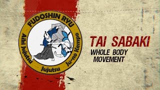 Tai Sabaki  Head Body Movement  Fudoshinryu Aiki Jujutsu [upl. by Rustice]