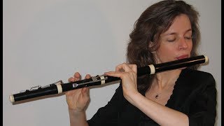 WAMozart Flute Quartet in D KV 285 for flute violin viola and cello Stephanie Bosch traverso [upl. by Beacham]