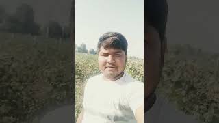 Hu jato godi kamma dashratthakor2024nusong song newvideosong gujaratilovesong [upl. by Yentterb513]