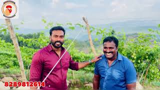 പത്തനംതിട്ടയിലെ മനോഹരമായ BV380 Farm part2 call 8289812614 [upl. by Haven]