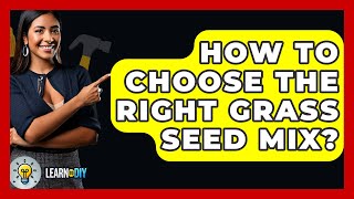 How To Choose The Right Grass Seed Mix  LearnToDIY360com [upl. by Akemat1]