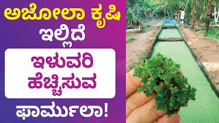 Azolla Farming Course in Kannada  How to Start an Azolla Farming  Financial Freedom App [upl. by Sivert]