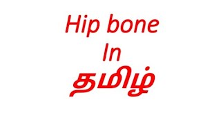 Hip bone anatomy in தமிழ்Anatomy of hip bone in தமிழ் pubis illium and ischium in Tamil [upl. by Dewey]