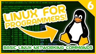 Linux for Programmers 6  Basic Linux Networking Commands [upl. by Amling98]