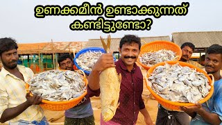 Dried Fish Processing Explained  How is dried fish prepared [upl. by Lavro945]