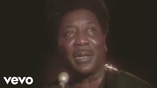 Muddy Waters  Hoochie Coochie Man Live [upl. by Sharlene405]