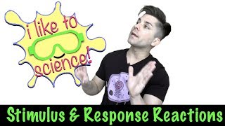 StimulusResponse Reactions [upl. by Florentia]