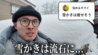 【検証】新潟で雪かきを手伝えば流石に痩せる説 [upl. by Sajovich]