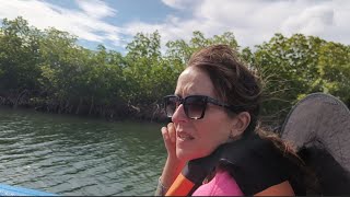 Mangroves – Guardians of the Coast  Mangroves how they help the ocean  Mangroves in domenican 🇩🇴 [upl. by Stanislaw]