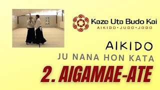 Aikido Ju Nana Hon Kata  2 Aigamae Ate [upl. by Conny169]