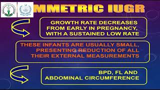 IUGR  Prof Dr Syed Amir Gilani [upl. by Airtal]