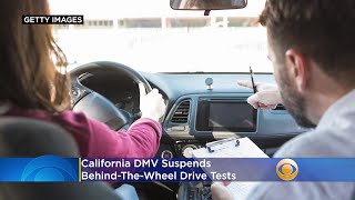 DMV Suspends BehindTheWheel Drive Tests Makes Online License Renewals Available To Senior Drivers [upl. by Eiramanad]