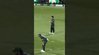 Shaheen Afridi Naseem Shah Together shortsfeed cricketshorts cricketlovers cricket rdllala [upl. by Pik]